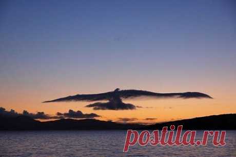 original.jpg (500×333)