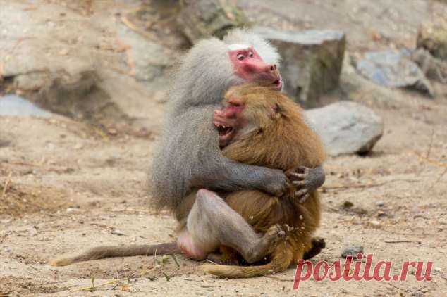 Нежный юмор для девушек и женщин. Подборка картинок и фото №lublusebya-31241127102019 | Люблю Себя