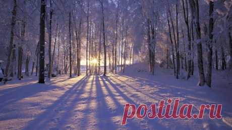 95010821_large_beautifulwintersunriseintheforesthd1080p69692.jpg (899×506)