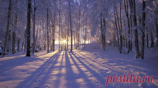 95010821_large_beautifulwintersunriseintheforesthd1080p69692.jpg (899×506)