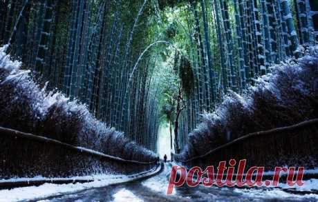 Ирина Шумова | ВКонтакте