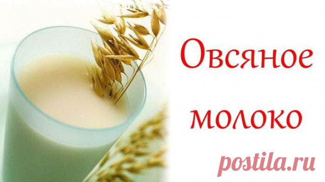 8 народных средств для восстановления поджелудочной железы — СОВЕТНИК