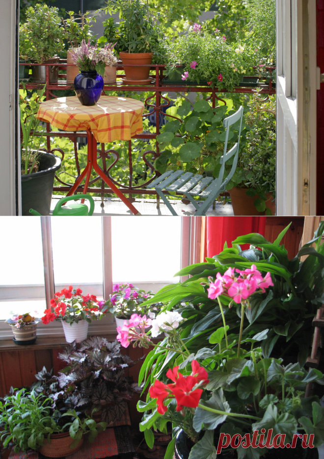 Советы по озеленению балкона - Realty.dmir.ru (Недвижимость и Цены).