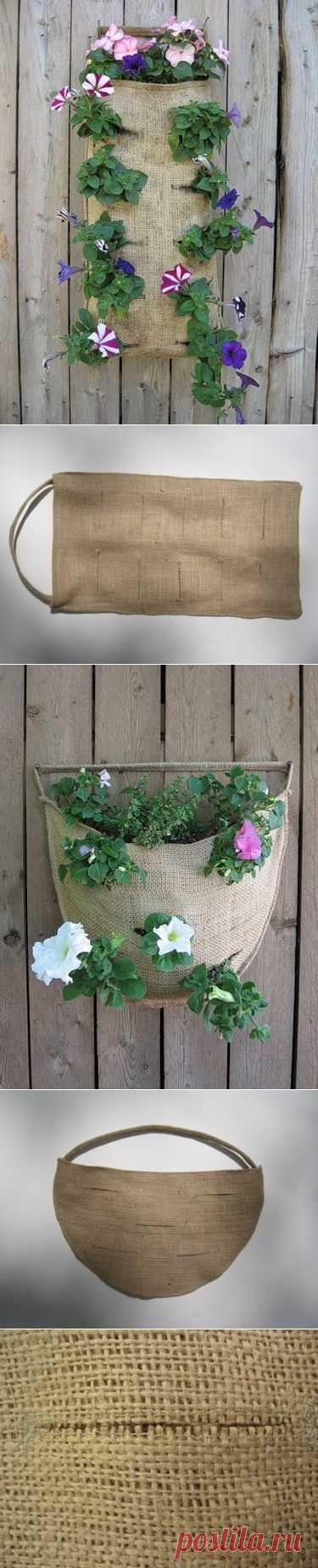 Цветы в мешке. Креативная идея выращивания цветов / Сад и огород / PassionForum - мастер-классы по рукоделию
