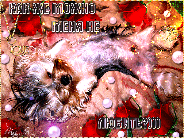 Как же можно меня не любить? - Анимации с надписями - Анимационные блестящие картинки GIF