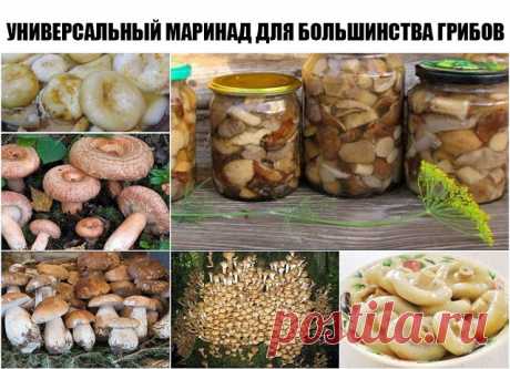 Универсальный маринад для большинства грибов
Грибочки получаются ну очень вкусными!

Ингредиенты:
- 1 литр воды,
- 50 г сахара,
- 4 ч. ложки соли,
- 3 лавровых листа,
- 4 гвоздики,
- 6 горошин душистого перца,
- 3 ч. ложки 70% уксусной эссенции (или 9% в большем количестве)

Приготовление:
1. В емкость для варки маринада влить воду, добавить специи (можно добавить и те, которые вы любите больше, например немного корицы), соль и сахар. Кипятить около трех минут, далее, влит...