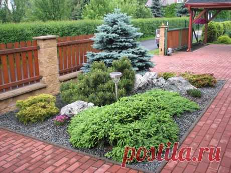 Зеленый оазис посреди сада