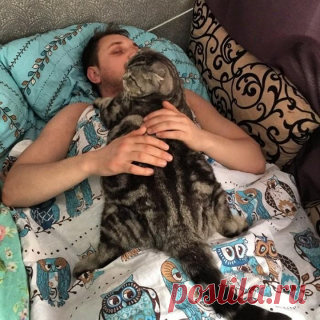 Одеялко:) | KotoMail.ru
