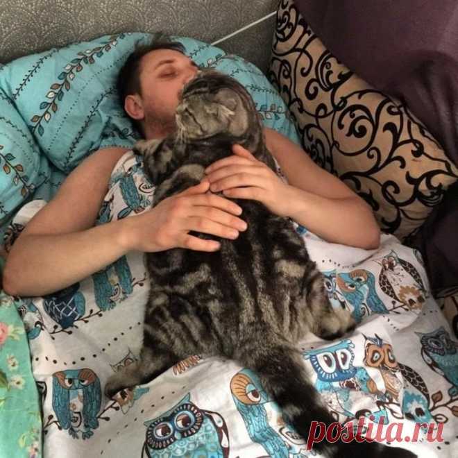 Одеялко:) | KotoMail.ru