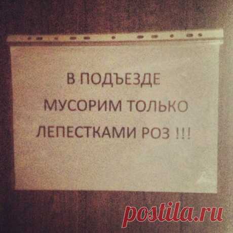 Шедевры объявлений наших подъездов
