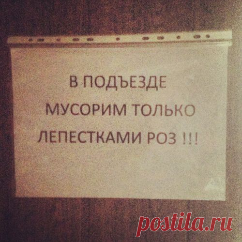 Шедевры объявлений наших подъездов