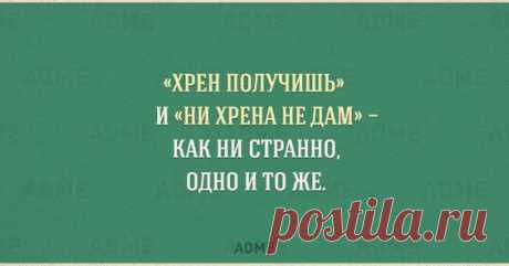 (11) Pinterest