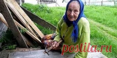 Сказка о жизни пенсионеров. 

Царь с царицей за столом, 
Свита царская при нём... 
Разговор завёл премьер: 
"Чем живёт пенсионер?" 
Стали думать наши "сливки", 
Чешут толстые загривки: 
"Ведь морили так и сяк! 
Да не выморить никак", 
Царь решил гонца послать, 
В чём там дело - разузнать! 
Всё узнать и доложить, 
Как на пенсию прожить?! 
Поздней осенью гонец 
Возвратился во дворец. 
Хочешь, нет ли, рад, не рад, 
А пиши царю доклад.. 
"День прожить, пожалуй можно, 
А вот ме...