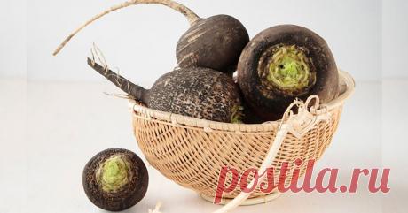 Уникальная Целебная Сила Черной Редьки: Старинные Народные Рецепты!