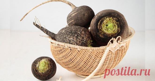 Уникальная Целебная Сила Черной Редьки: Старинные Народные Рецепты!