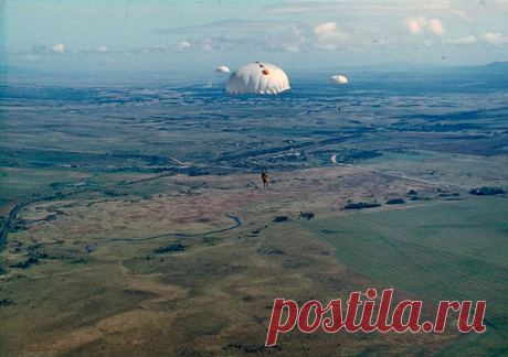 Лето, небо, одуванчики! Романтика?