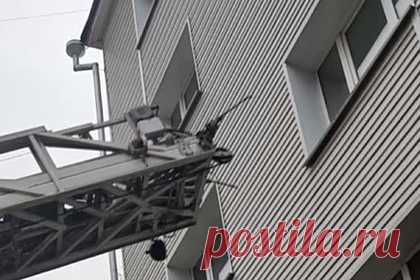 Появилось видео спасения четверых детей из квартиры пропавшей россиянки. Четверых голодных детей в иркутском поселке Осиновка, которых заперла в квартире мать, спасли при помощи пожарной лестницы. На кадрах видно, как спасатели лезут в окно квартиры по пожарной лестнице. По данным МВД, самому младшему ребенку год, а самому старшему десять лет. Сейчас детей осматривают врачи.