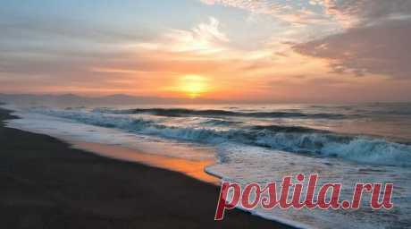 В.ШЕФНЕР ГЛОТОК