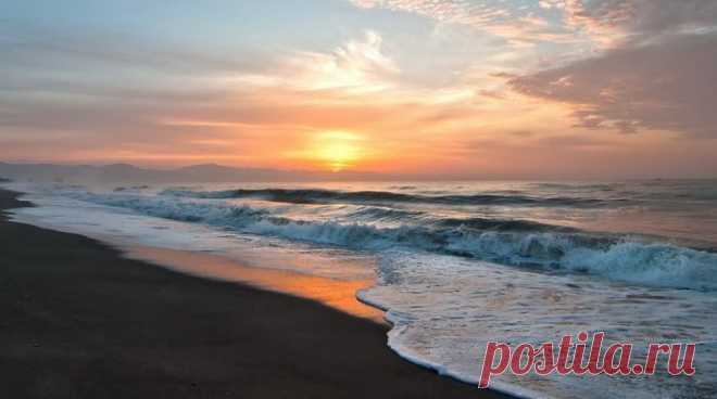 В.ШЕФНЕР ГЛОТОК