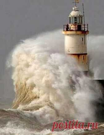 Faro