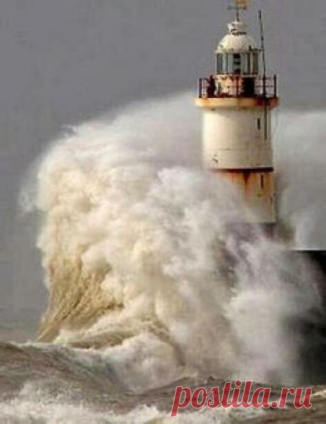 Faro