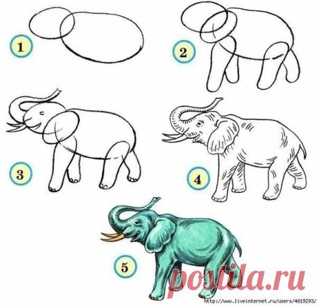 УЧИМСЯ РИСОВАТЬ ЖИВОТНЫХ ✏ Сохраните себе, чтобы не потерять 📌