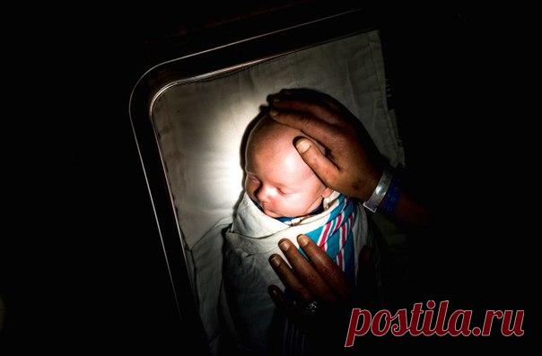 «Мозг может сам себя вылечить. Вот что самое удивительное» Мы все больше узнаем про непреодолимую тягу, толкающую нас к саморазрушению, — и про то, как наука помогает с ней бороться. #NGлонгрид@natgeoru