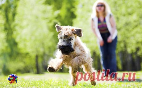 Простые способы повышения энергетического уровня | Все об Осознанной Красоте