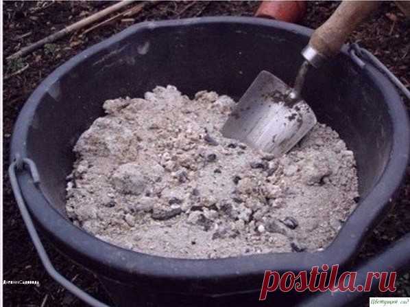Внесение золы под разные овощи