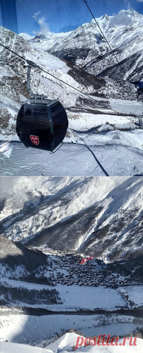 Философия жизни от горного швейцарского козла. ))