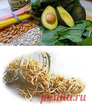 Витамин Е | Квинтэссенция Здоровья