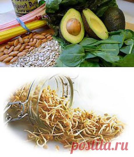 Витамин Е | Квинтэссенция Здоровья