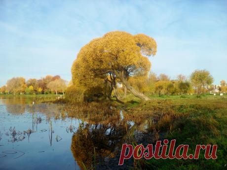 Полюстровский парк