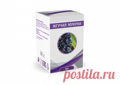 МедNews - СЕРГЕЙ ТОЛМАЧЕВ