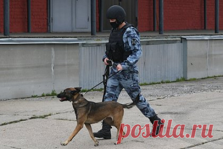 Российские силовики на вертолетах прилетели к захваченной ЧОПом компании. Бойцы ОМОНа и СОБРа прилетели на вертолетах в Киренский район Иркутской области к нефтяной компании «Дулисьма», которую взяли в осаду сотрудники частного охранного предприятия (ЧОП). Захватчики вырыли ров и готовятся взять предприятие штурмом. На территории компании без электричества, еды и тепла находятся люди.