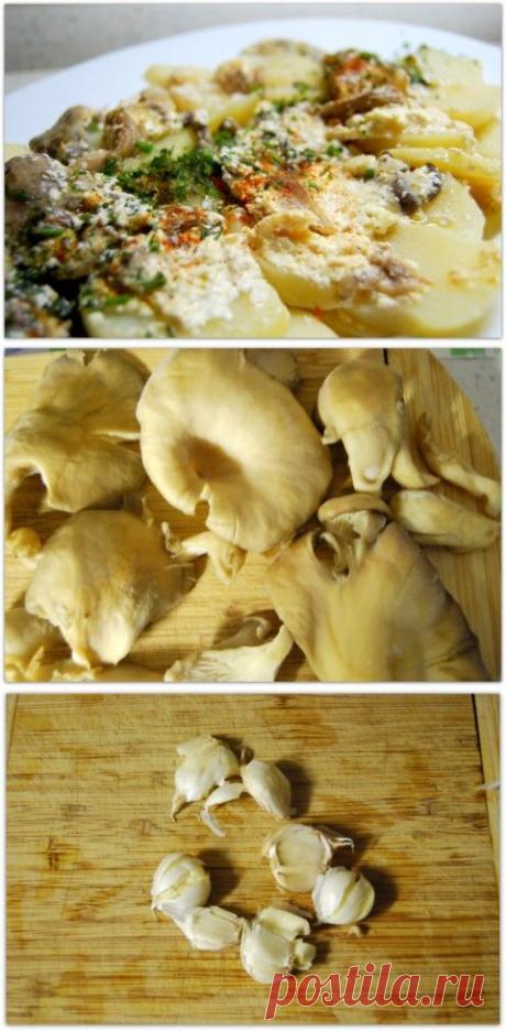 Вёшенки с чесноком и сметаной