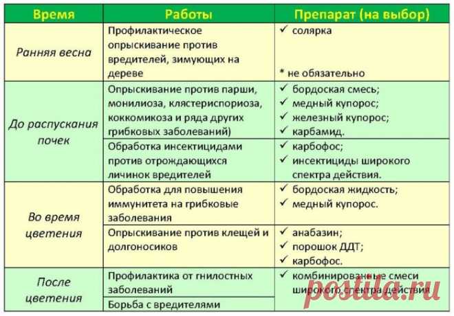 Опрыскивание плодовых деревьев и кустарников весной от болезней и вредителей: сроки, графики, препараты. Когда и чем обработать плодовые деревья и кустарники ранней весной и после цветения?