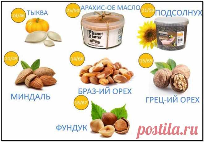 БЕЛОК В РАСТЕНИЯХ.
http://i.myakademy.org/