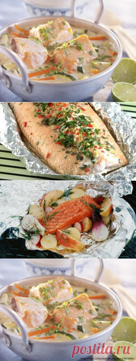 4 ОЧЕНЬ ВКУСНЫХ РЕЦЕПТА ИЗ СЁМГИ