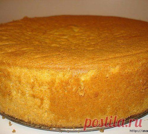 СМЕТАННЫЙ БИСКВИТ