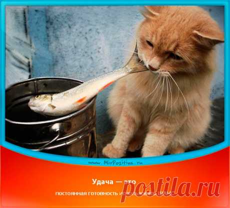МЫСЛИ В СЛУХ