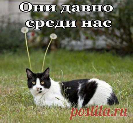 Василий Тимошин vasiliy-timoshin - Москва, Россия, 61 год на Мой Мир@Mail.ru