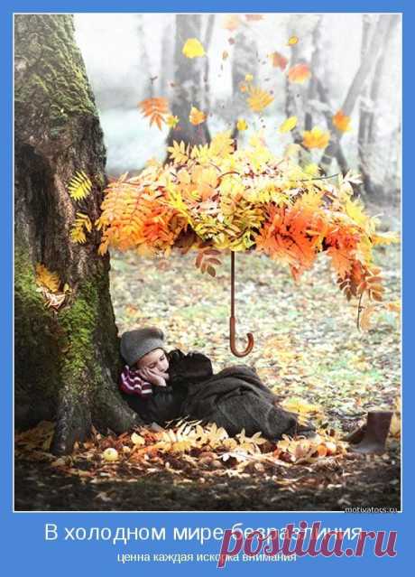 ВЫ РЯДОМ С НУЖНОЙ ИНФОРМАЦИЕЙ- КАЖЕТСА НАЖМИ НУЖНУЮ КНОПКУ И ОНА ТВОЯ!НО ЭТО ТОЛЬКО КАЖЕТСА   ( НЕ ХВАТАЕТ ЗНАНИЯ КОМПЬЮТЕРА )  Как  же  выйти  из  этого  заколдованного  круга,   
перестать  мучиться  и  портить  себе  жизнь?  Есть  хорошая  новость!  Освободиться  от 
чувства незнания можно одним простым способом - БЕСПЛАТНЫЙ КОМПЬЮТЕРНЫЙ И БИЗНЕС КУРС НАЧИНАЮЩЕГО ДИСТРИБЬЮТОРА!