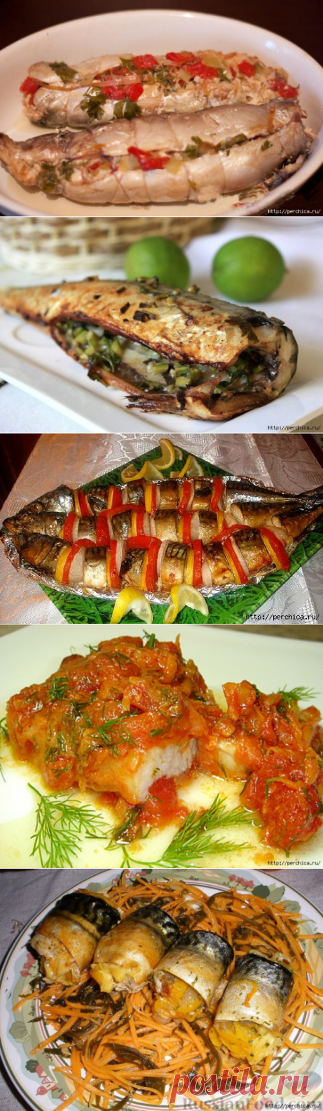 Подборка вкусных блюд из скумбрии.