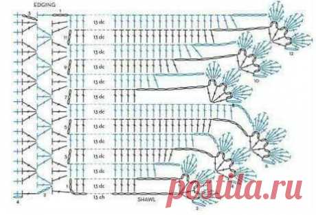 (5) Facebook