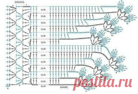(5) Facebook