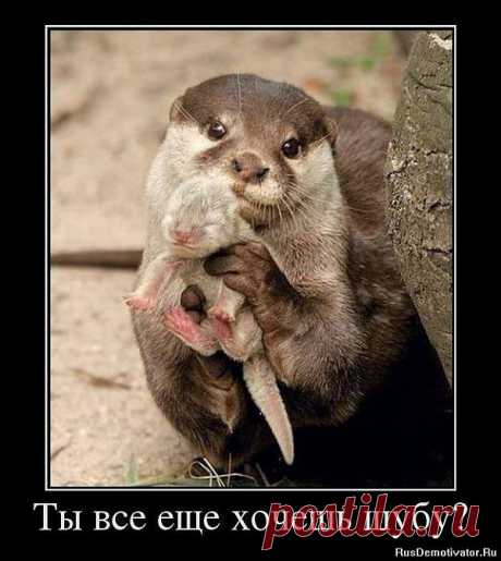 Задумайтесь!!!!