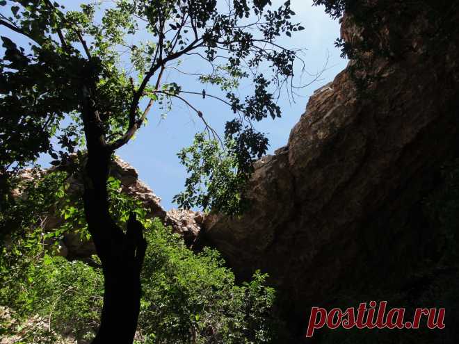 Можно много рассказывать о этом месте по фотографиям,но лучше приезжайте в Южный Казахстан и я покажу и расскажу Вам всё на месте...