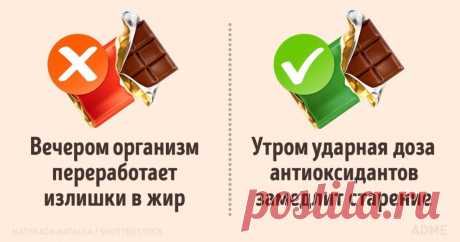 В какое время дня лучше есть те или иные продукты. Шоколадку — утром, а кабачки — вечером...