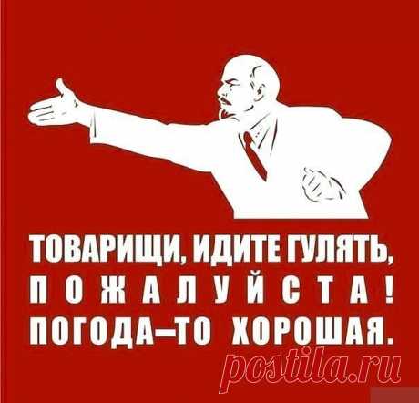 original.jpeg (604×581)